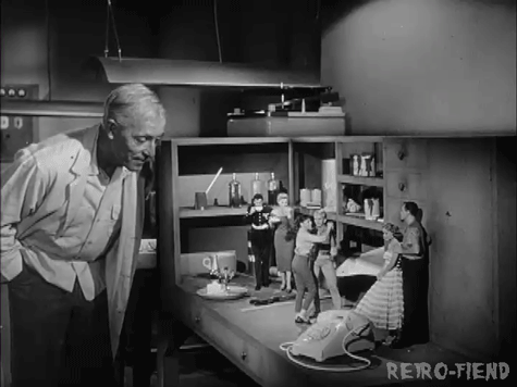 Retrofiend Bmovies Gif Find On Gifer