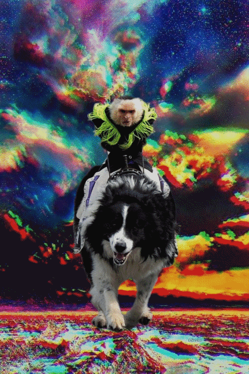 Dada She Looks So Fierce In This Video Gif Find On Gifer