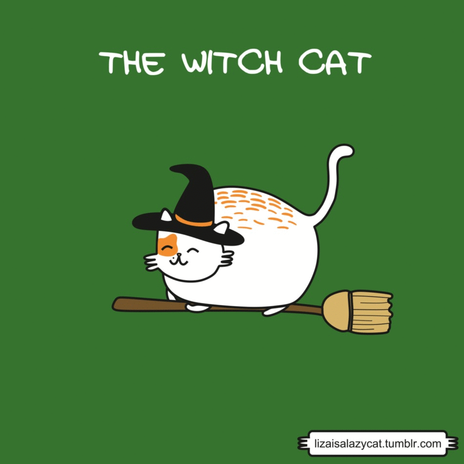 Funny Gifs Halloween Cat Gif Vsgif Com