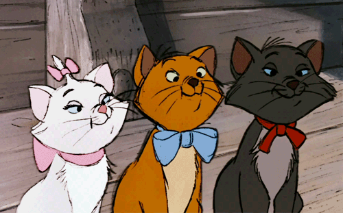 Funny Gifs The Aristocats Gif Vsgif Com