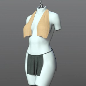 dForce SPR Jane Eyre Style Outfit for Genesis 9new 
