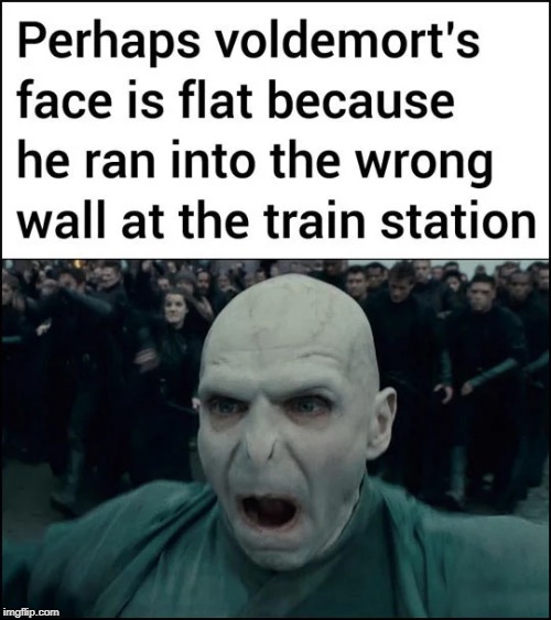 15 Harry Potter-Memes, Die Sogar Muggel Lustig Finden! 563_x_500_jpg