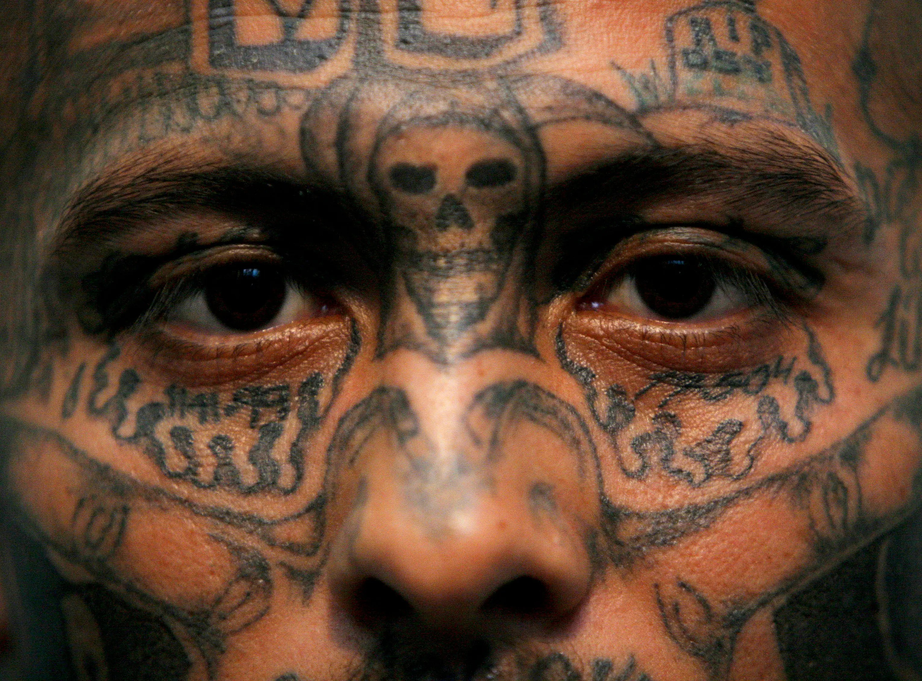 Origins Of Ms-13 Mara Salvatrucha Name 739_x_1000_jpg