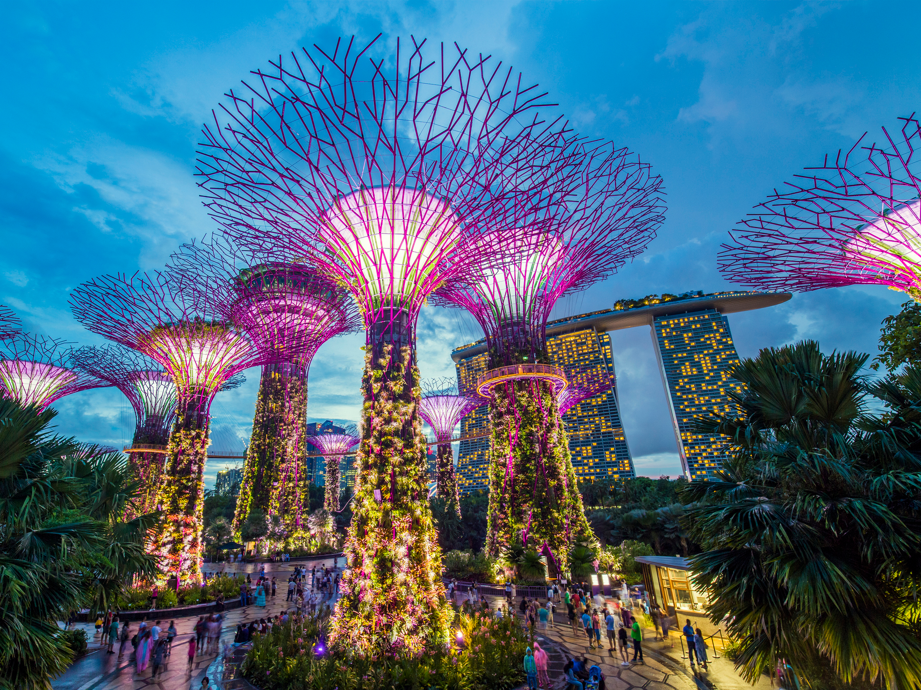 Biggest Transport Hub In The World