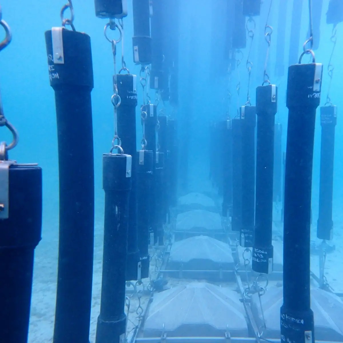 Tradiciniai ryklių tinklai yra žinomi kaip „mirties siena“.  Naujas ekologiškas barjeras naudoja magnetinius laukus, kad atgrasytų ryklius, o ne gaudytų juos.