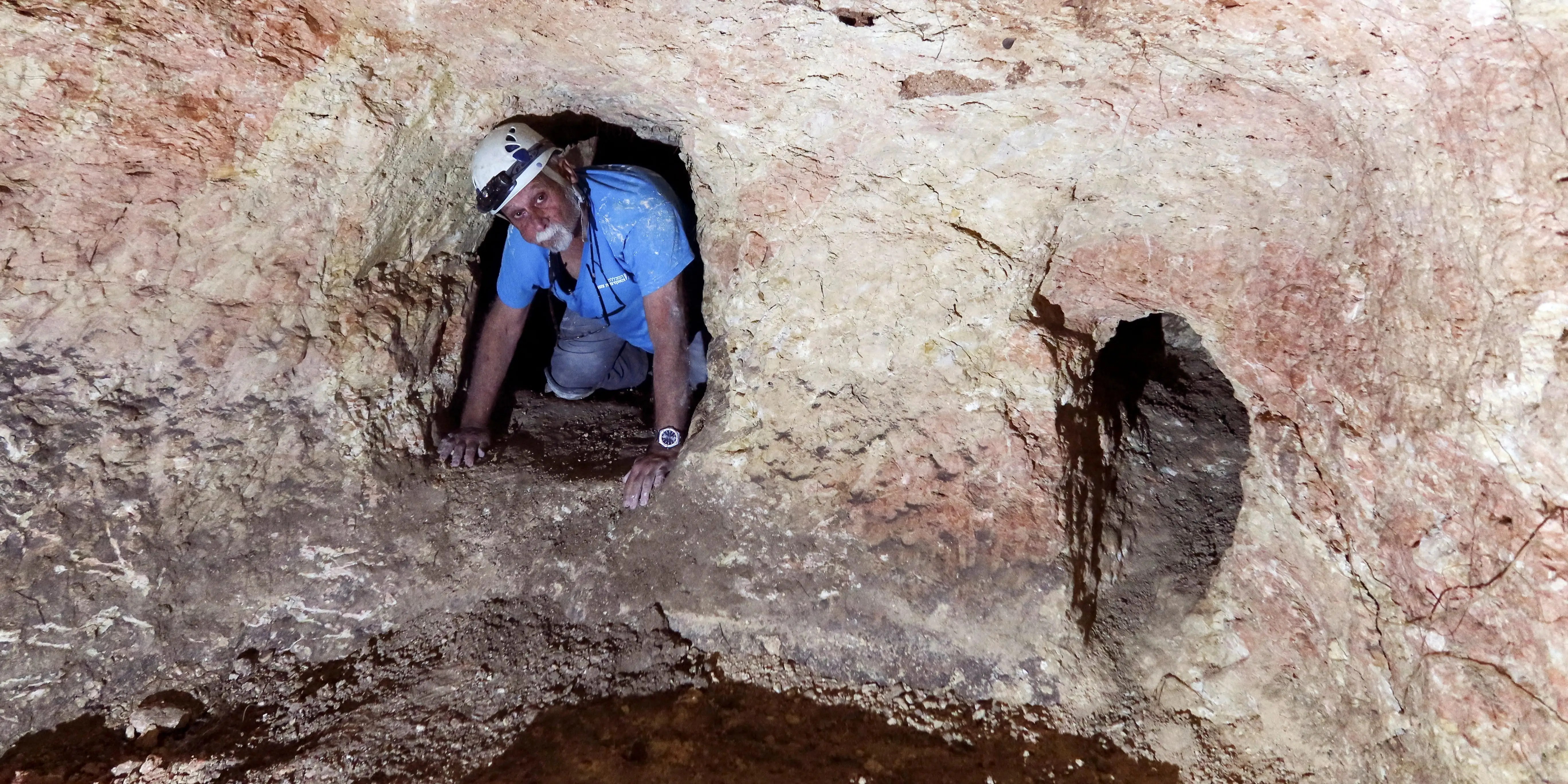 Tesla Plans To Unveil a Robotaxi In August