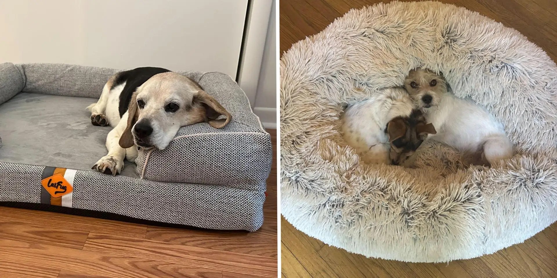 The Best Dog Beds, Tested and Reviewed