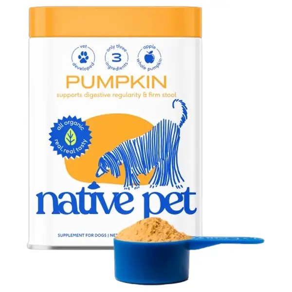 The best dog food toppers to tempt even the pickiest eaters, according to a pet expert