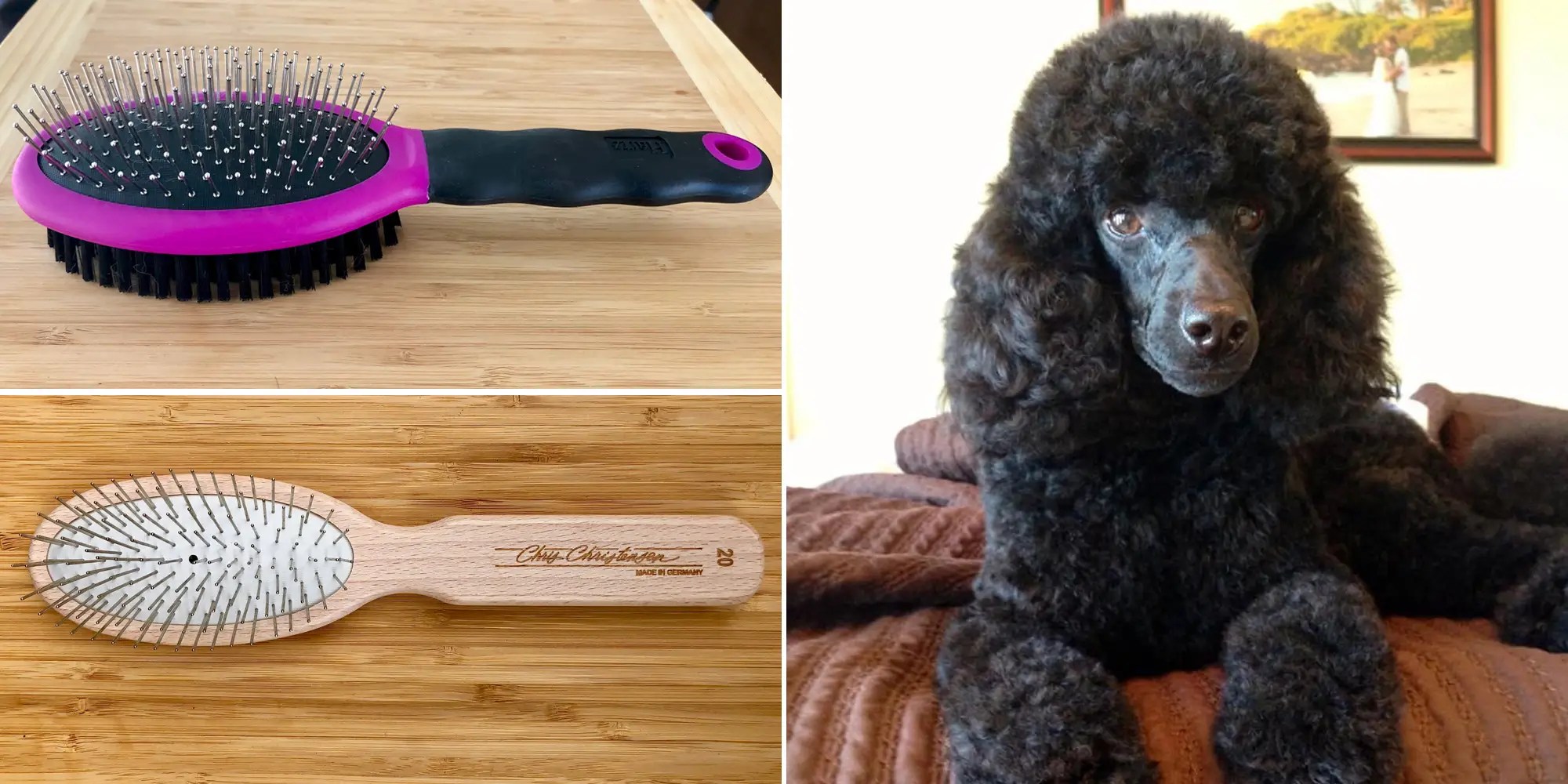 The Best Dog Brushes for Deshedding and Detangling