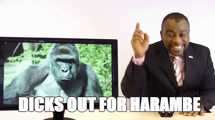 R I P Harambe Tyrone On Make A Gif