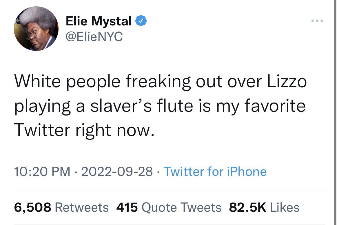 Lizzo not making music for white people