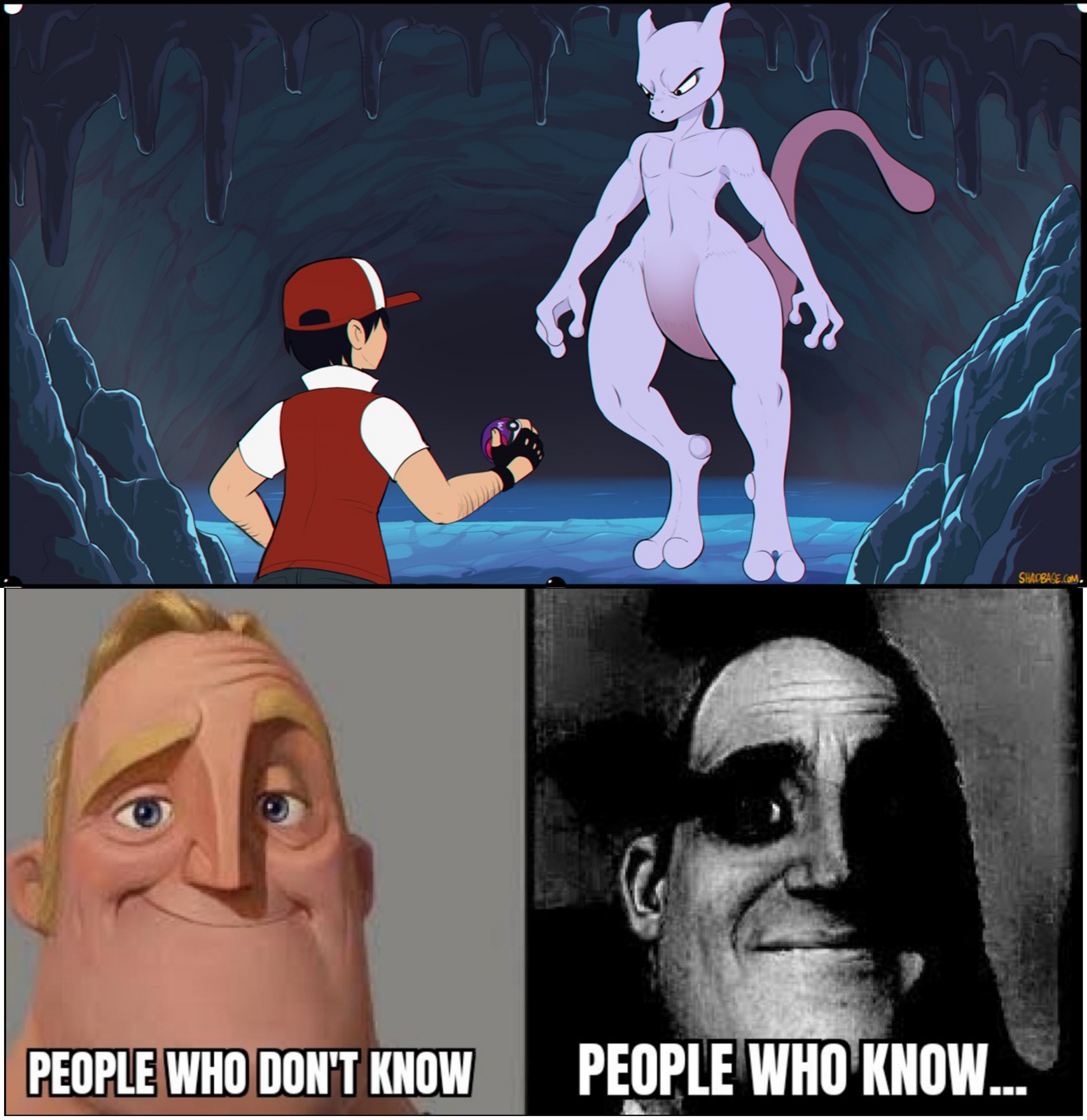 Shadbase pokemon mewtwo