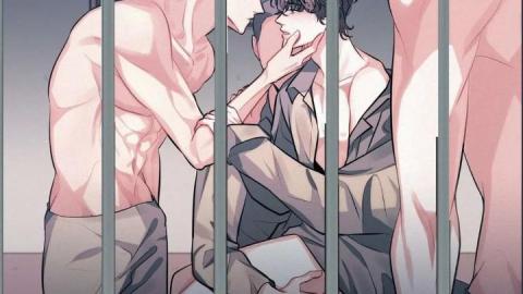 alpha bottom omega top