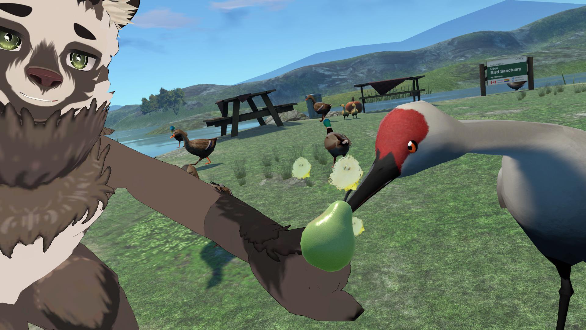 Furality teens : rVRchat