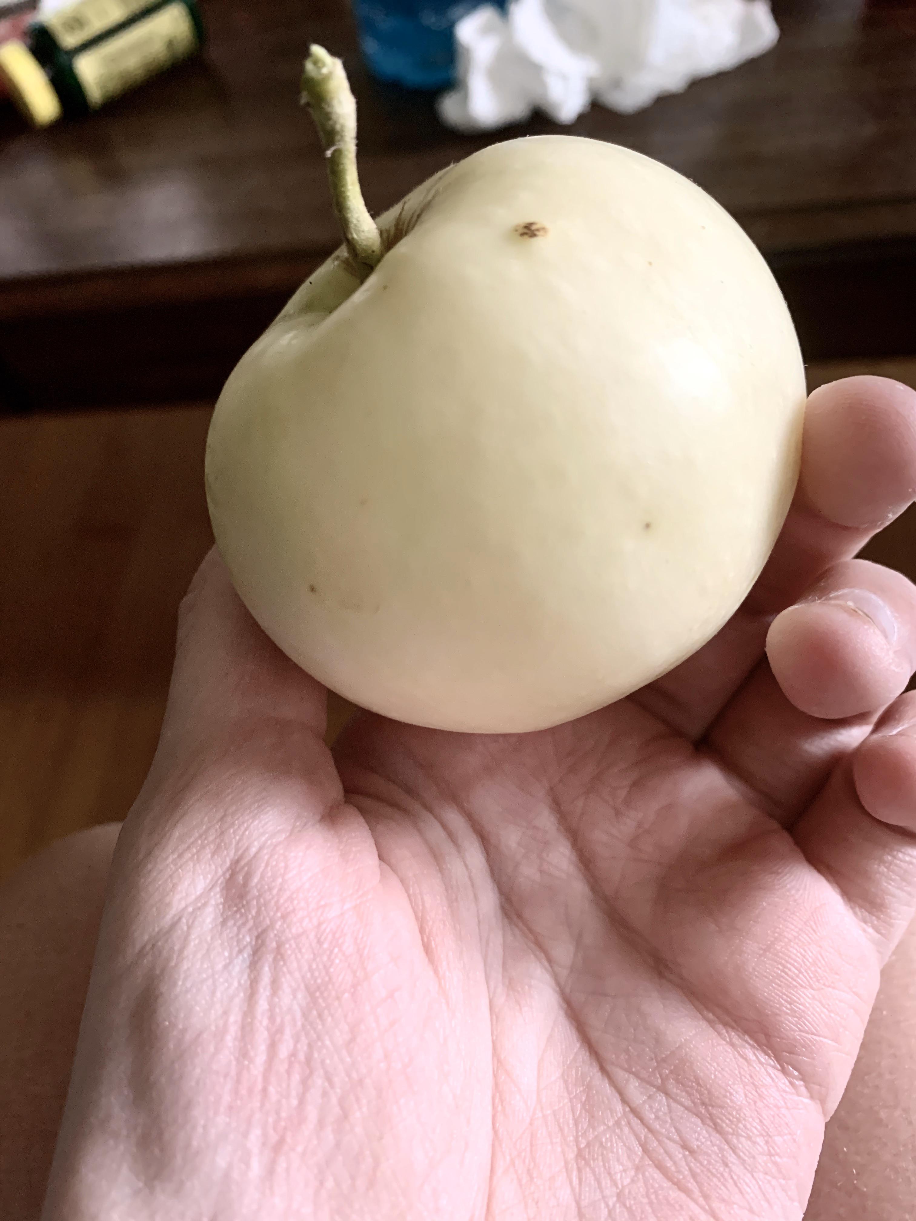 A white apple