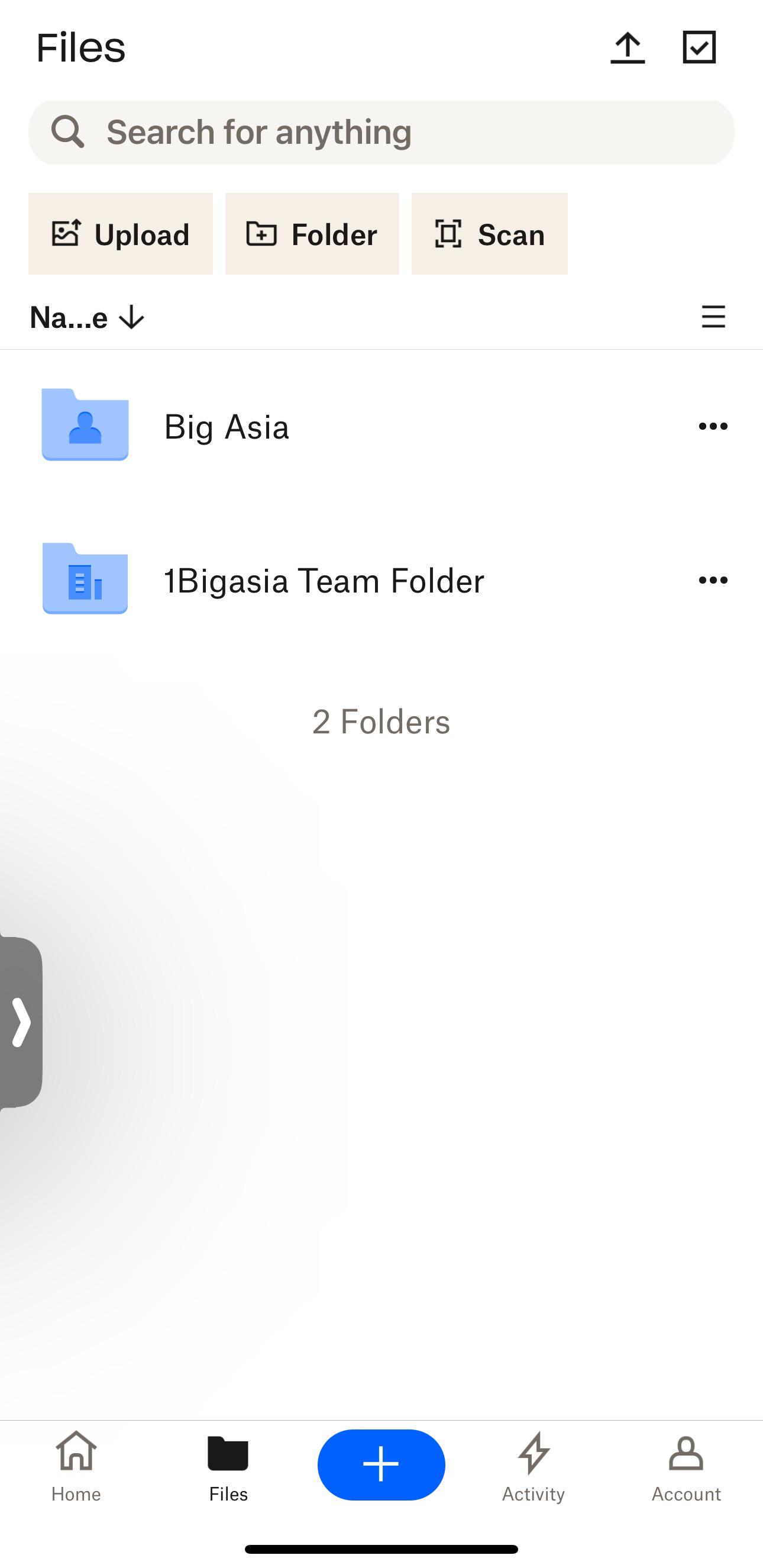 1bigasia