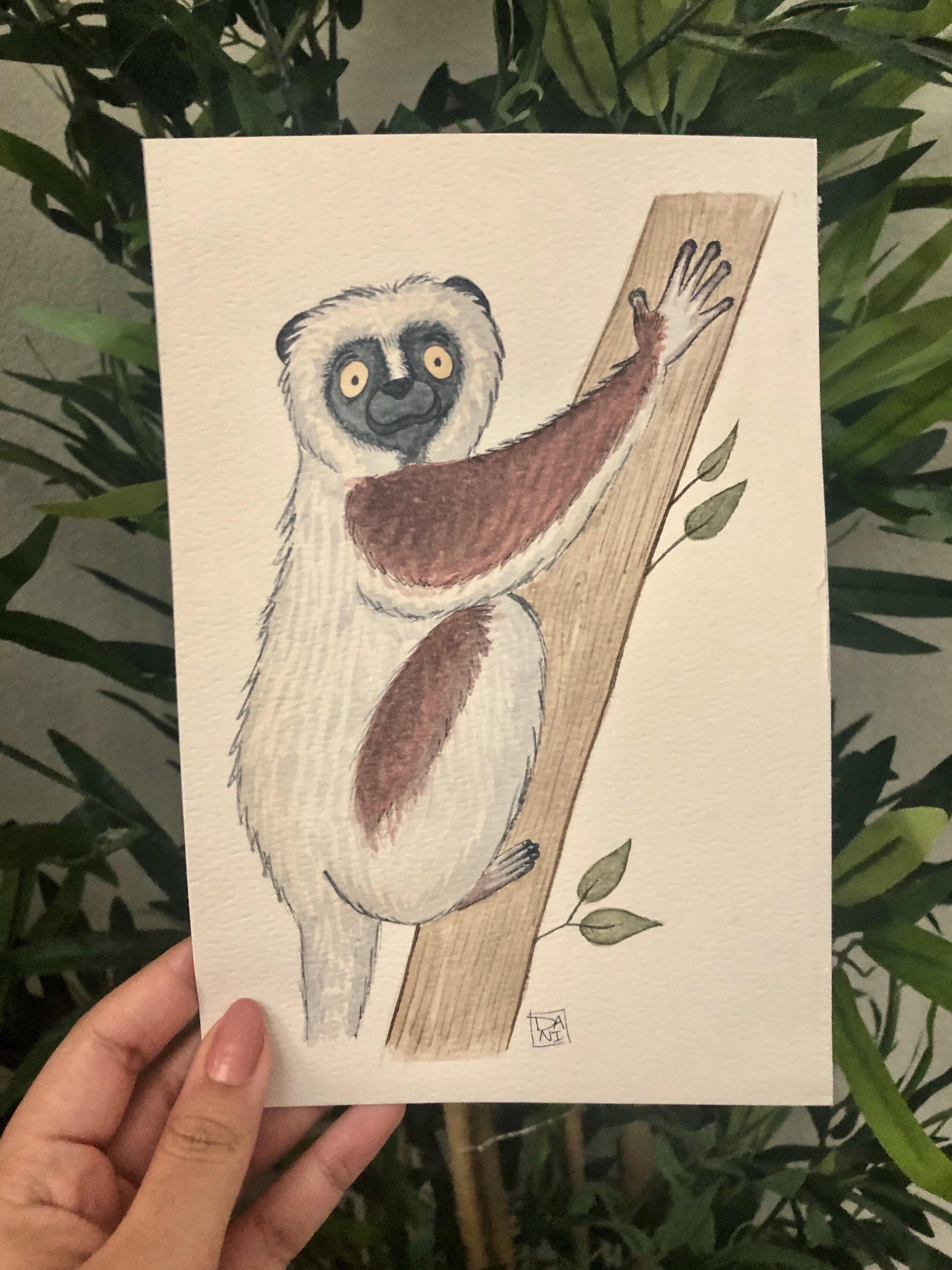 Zoboomafoo gooble