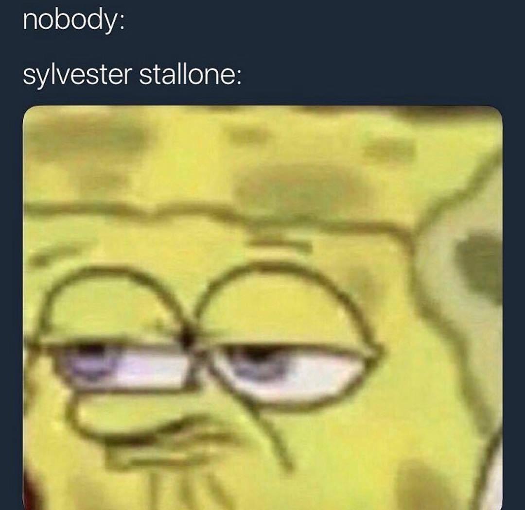 Sylvester stallone pointing meme