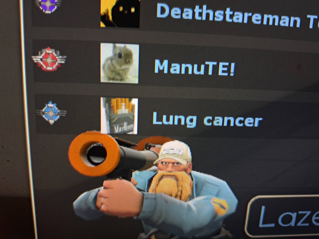 Bushwacker историк