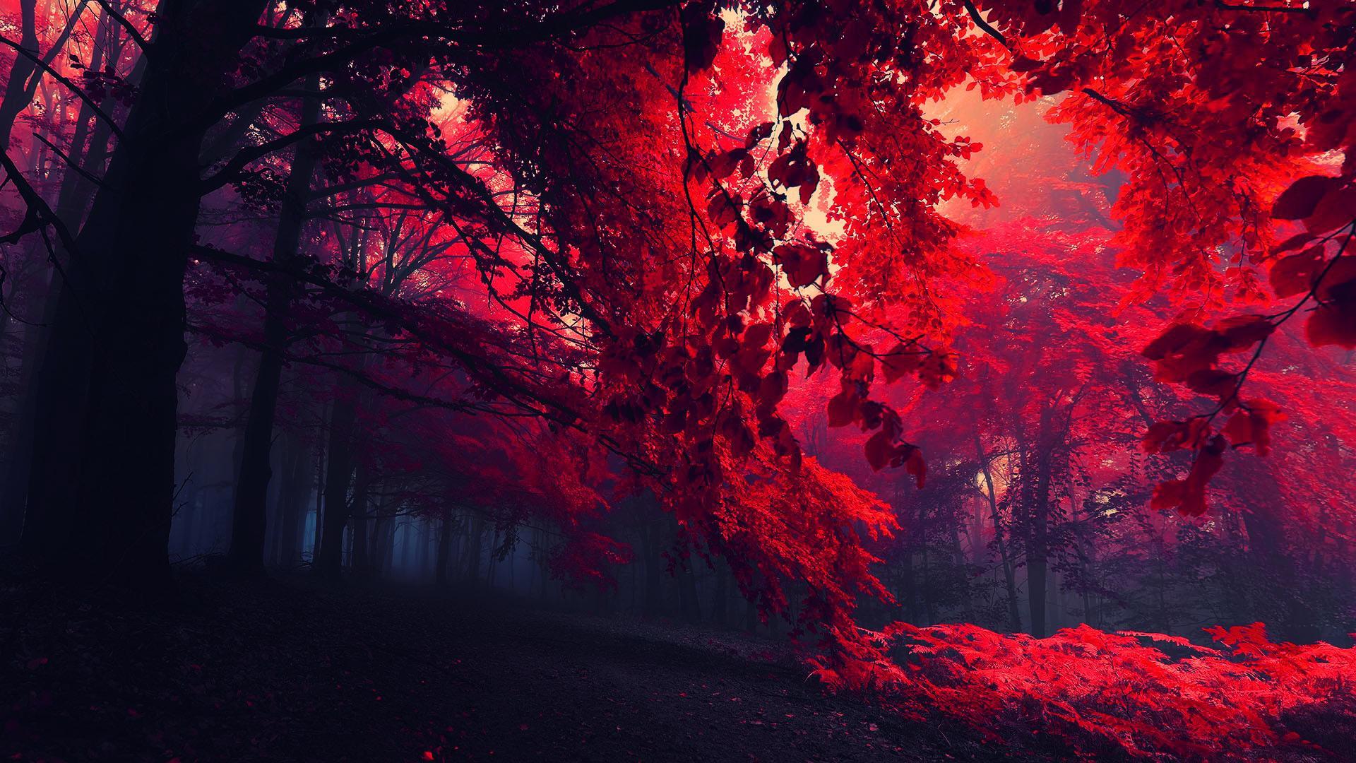 Red tree wallpaper