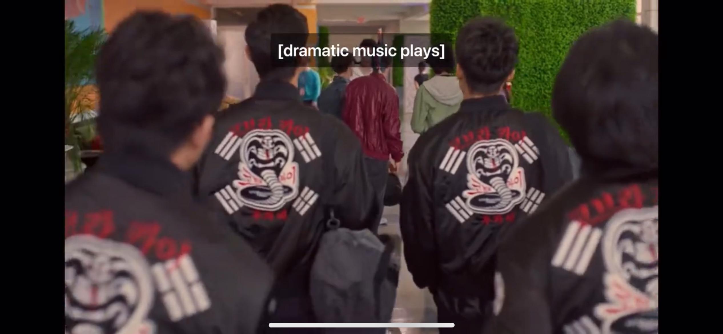 Cobra kai season 6 jacket