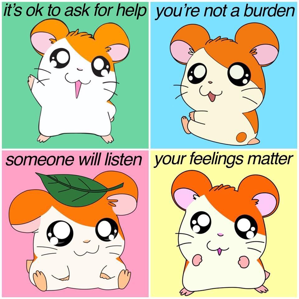 Hamtaro meme