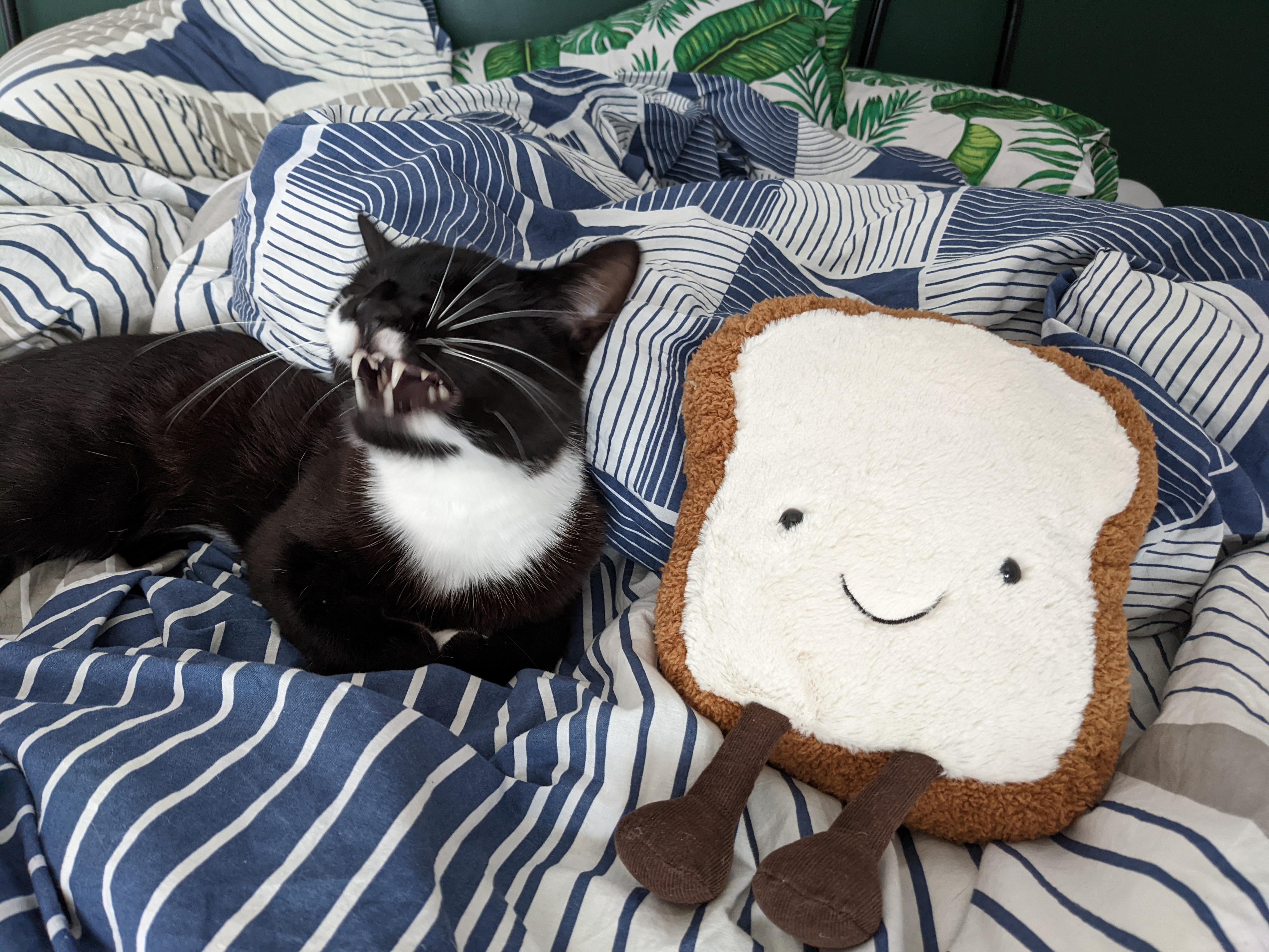 The married misfits porn