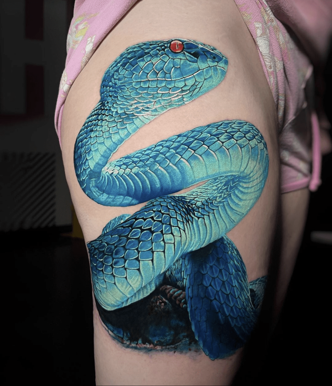 My Snek, Done By Guest Artist Melek Tastekin At Pens And Needles In Colorado Springs, Co : R/Tattoos 1255_x_1079_png