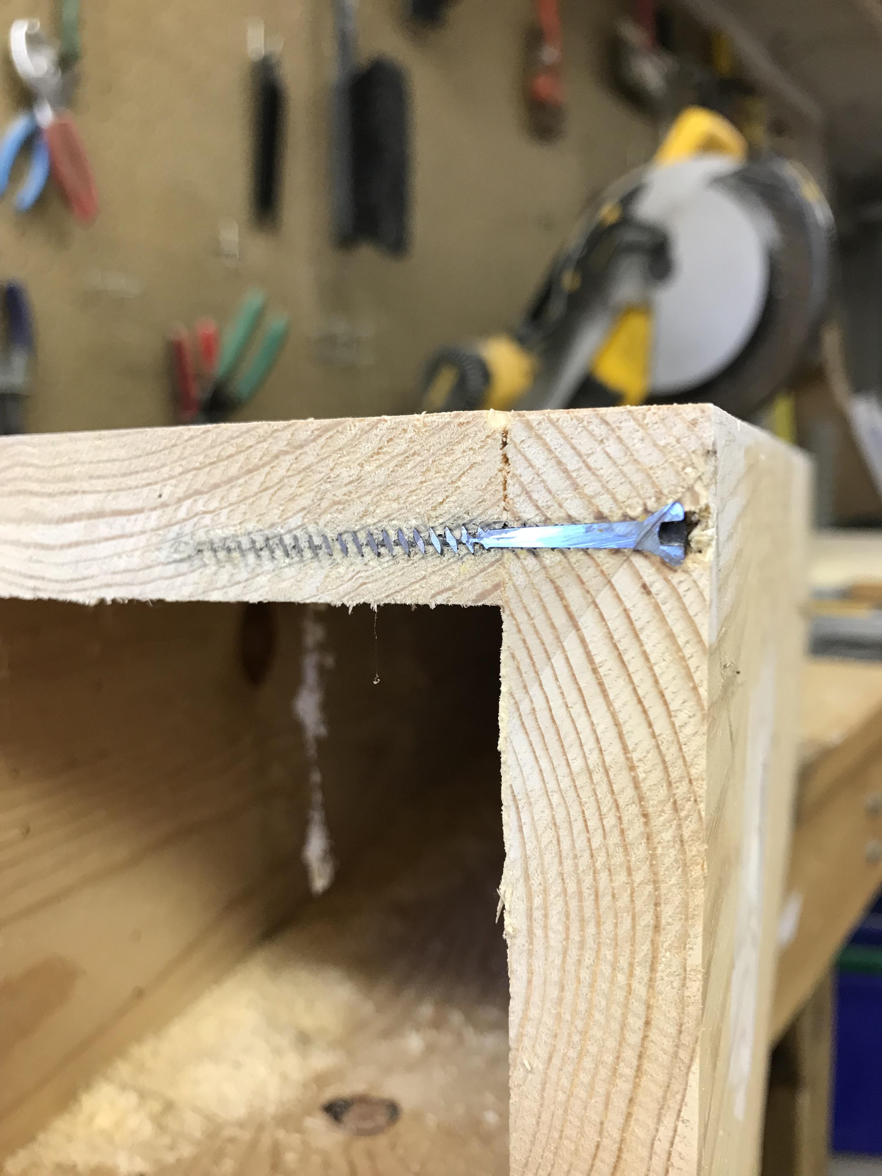 Box wood screws