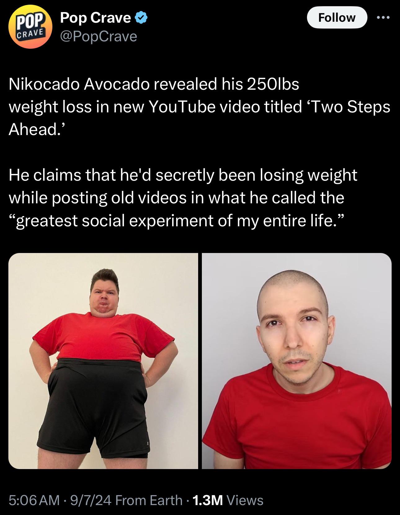 What are Nikocados manipulationintelligence feats now? : rIntelligenceScaling Nikocado avocado ass