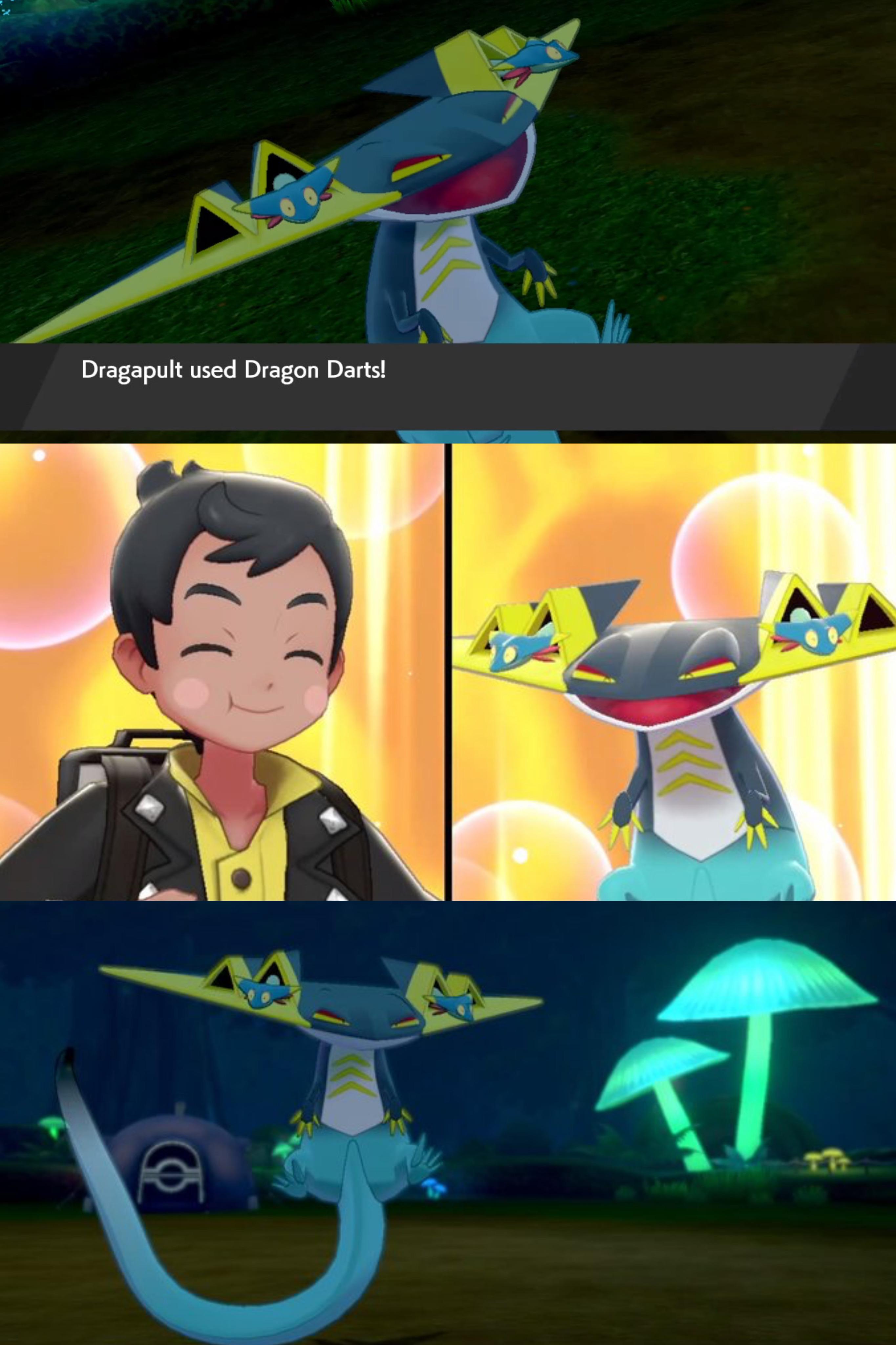 After 4 Months Of On Off Hunting R Pokemonswordandshield