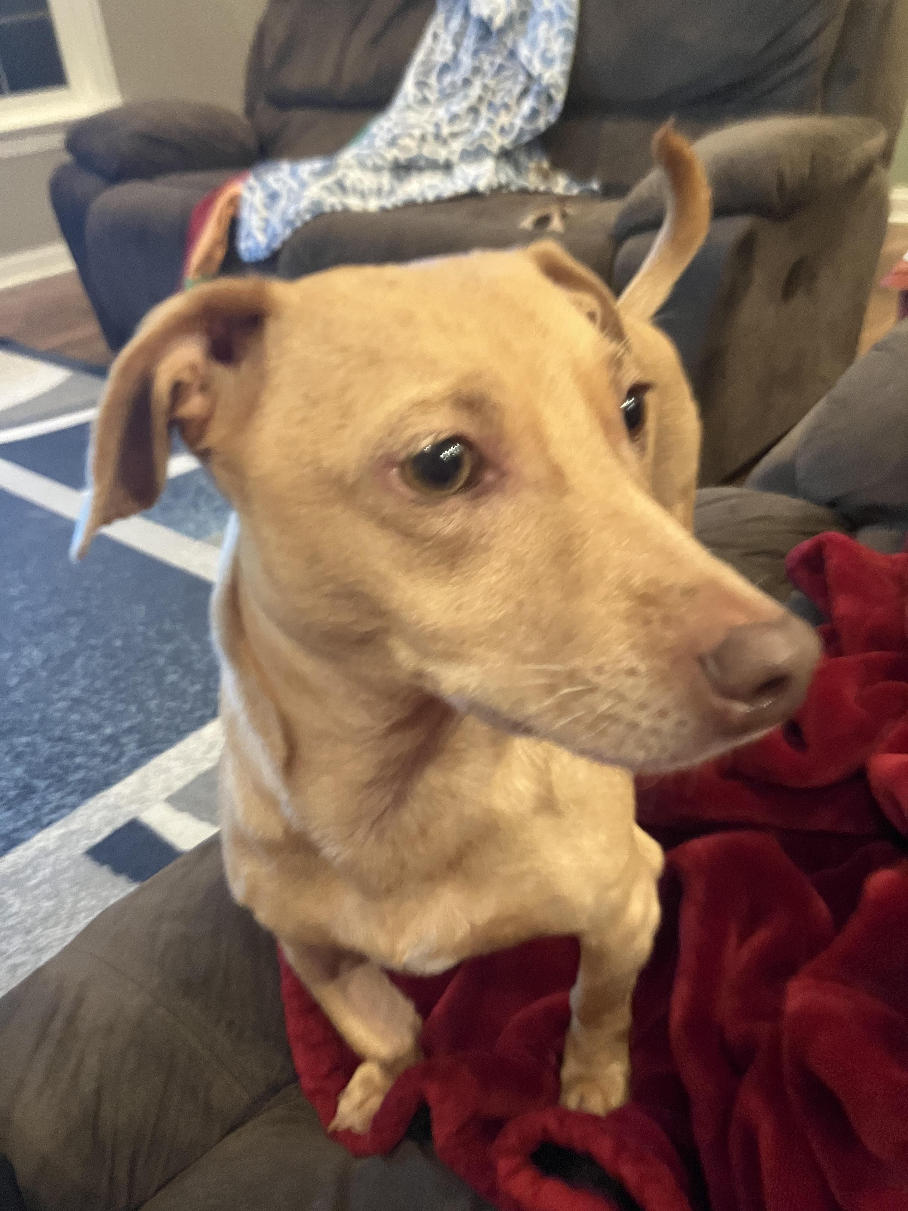 Panpiano's Patreon Collection: Highest Quality Adult Content for Your Viewing Pleasure