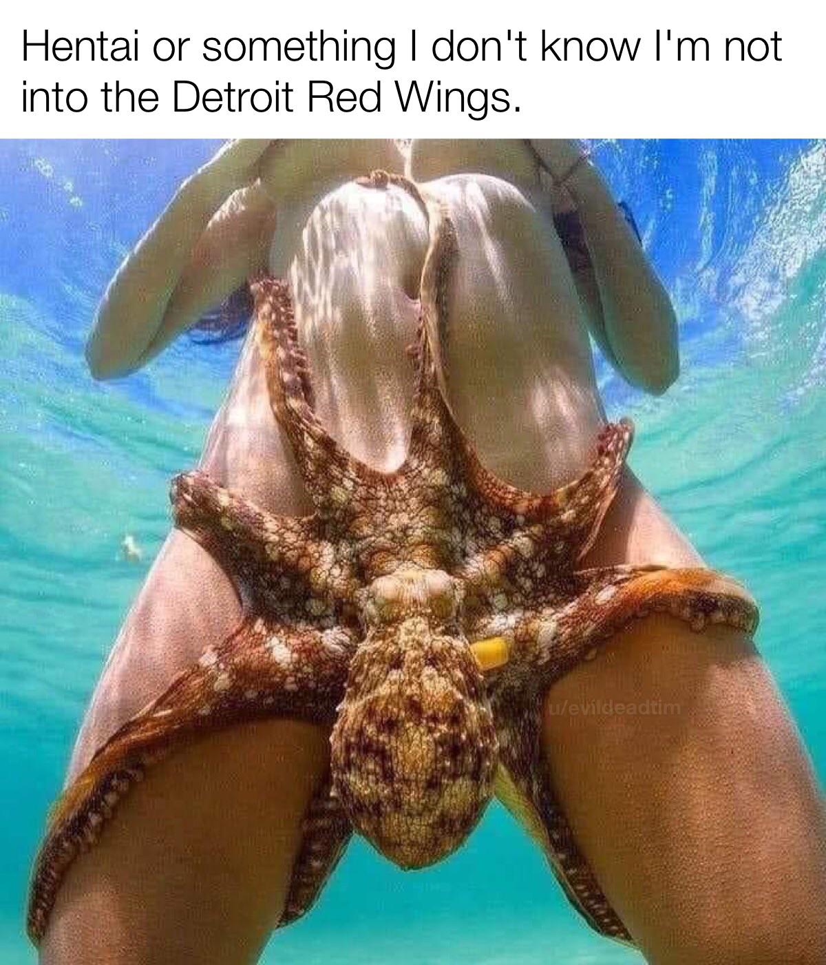 Octopussy meme