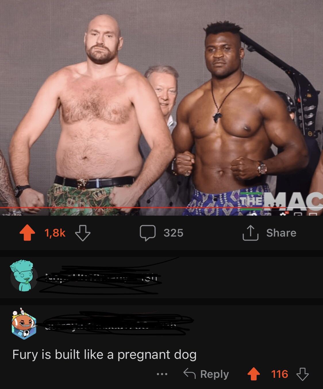 Fury vs ngannou wikipedia