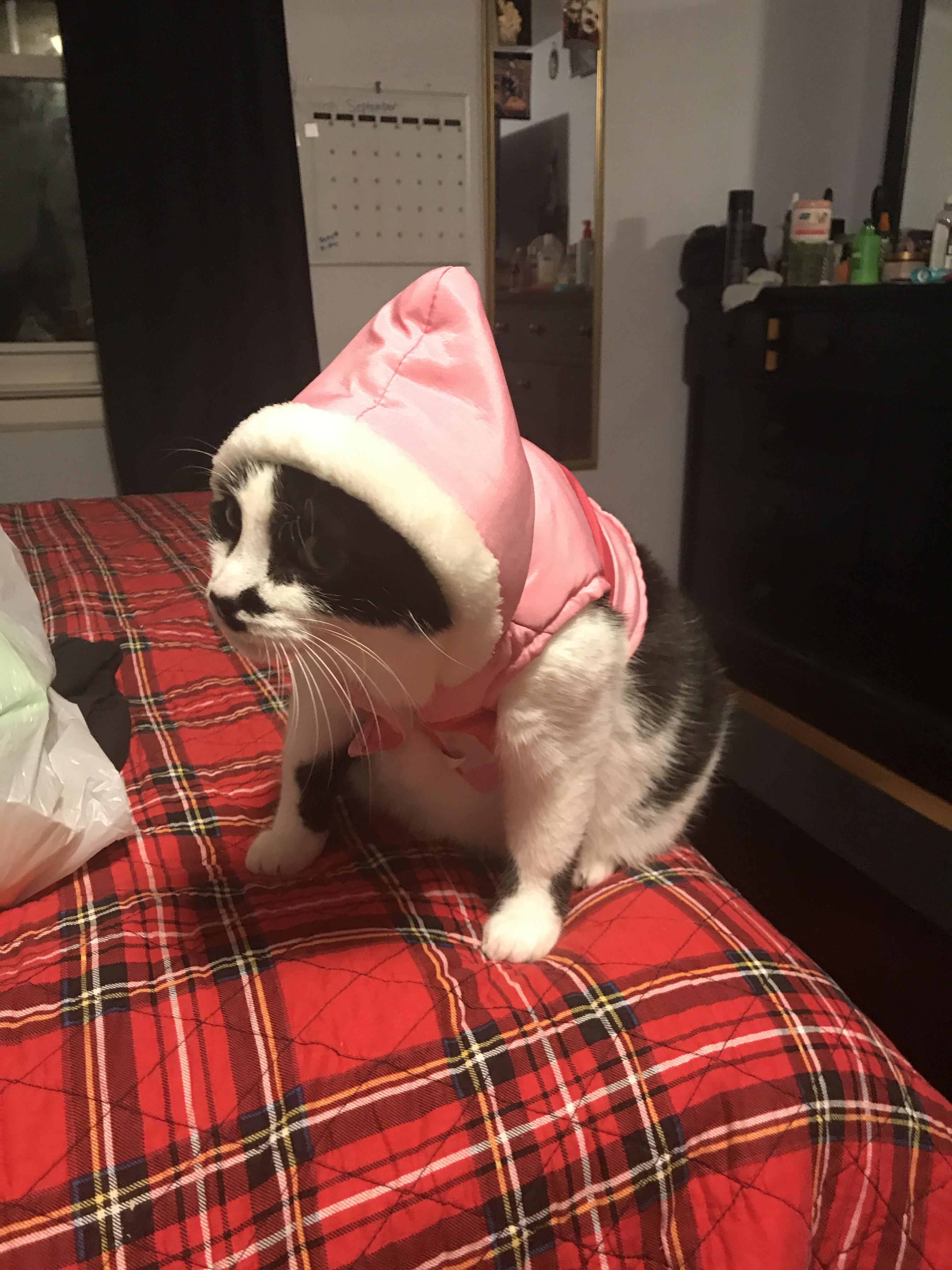 Tight pink pussy images