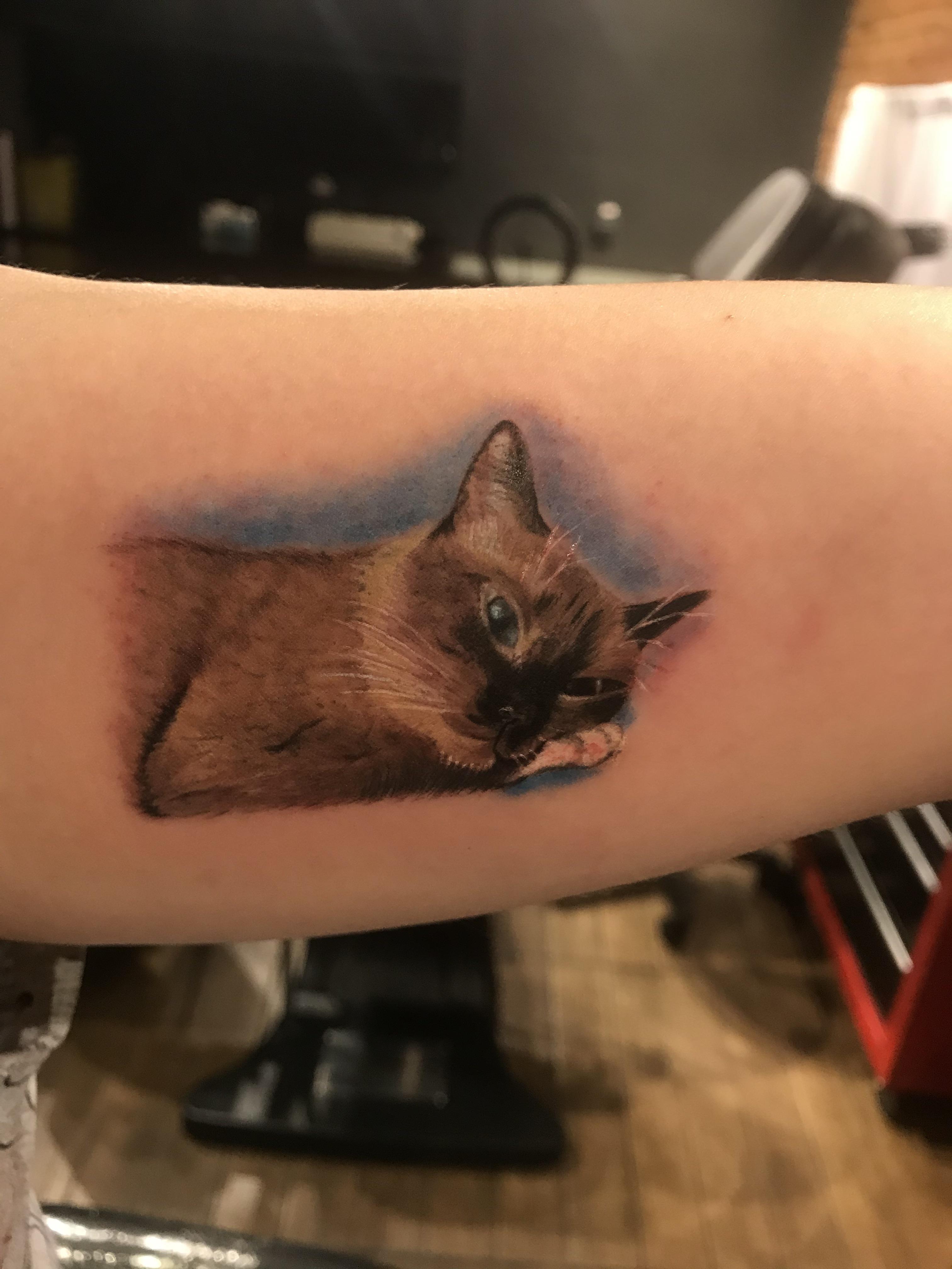 Memorial Tattoo... My Athena Passed Away On Nov 1St 2020... And I Decided To Put Her Where She Used To Sleep Every Single Night: On My Left Arm. I Had Insomnia And 4032_x_3024_jpg