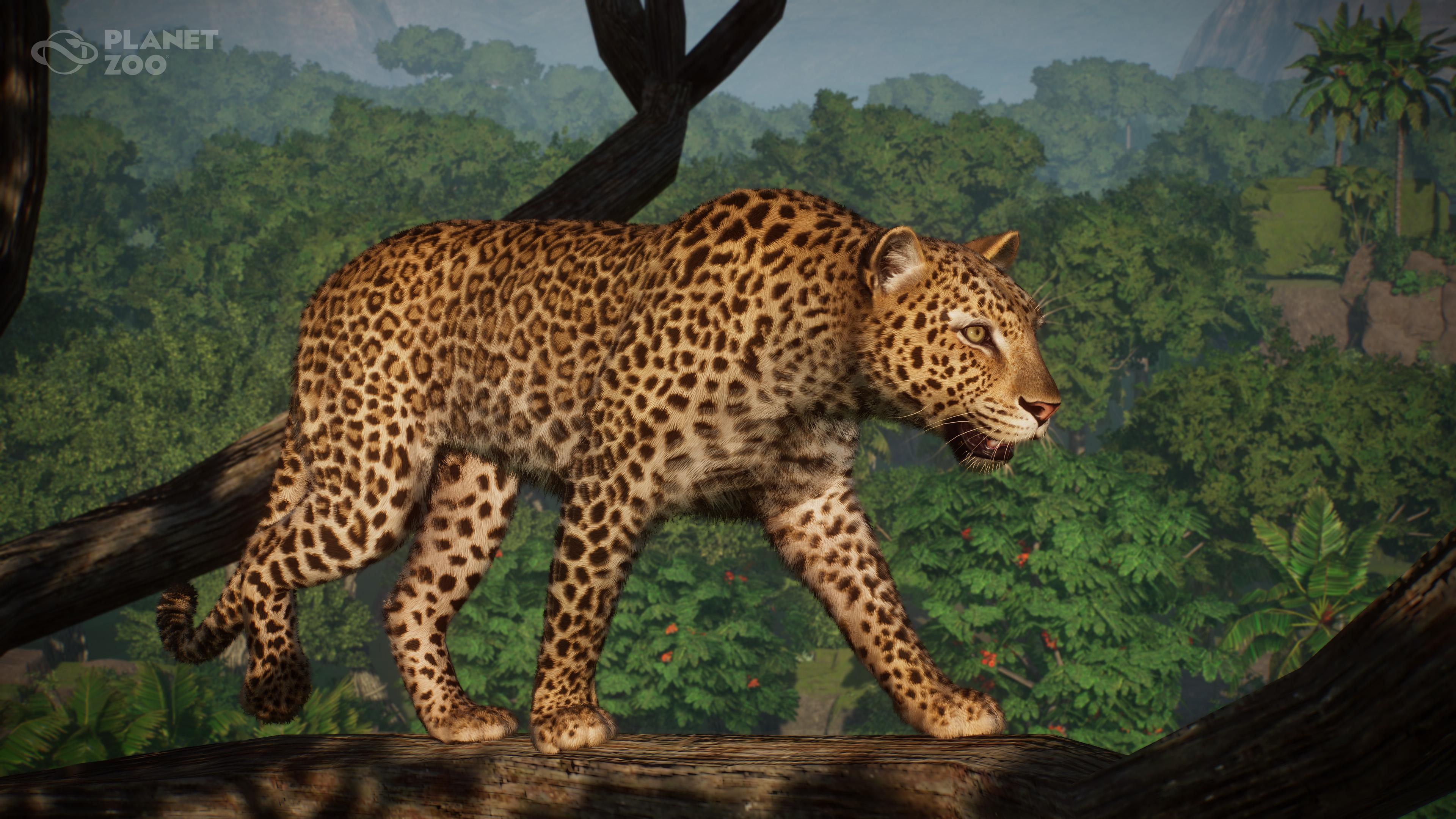 Are you excited about an African Leopard coming to Planet Zoo? : rPlanetZoo