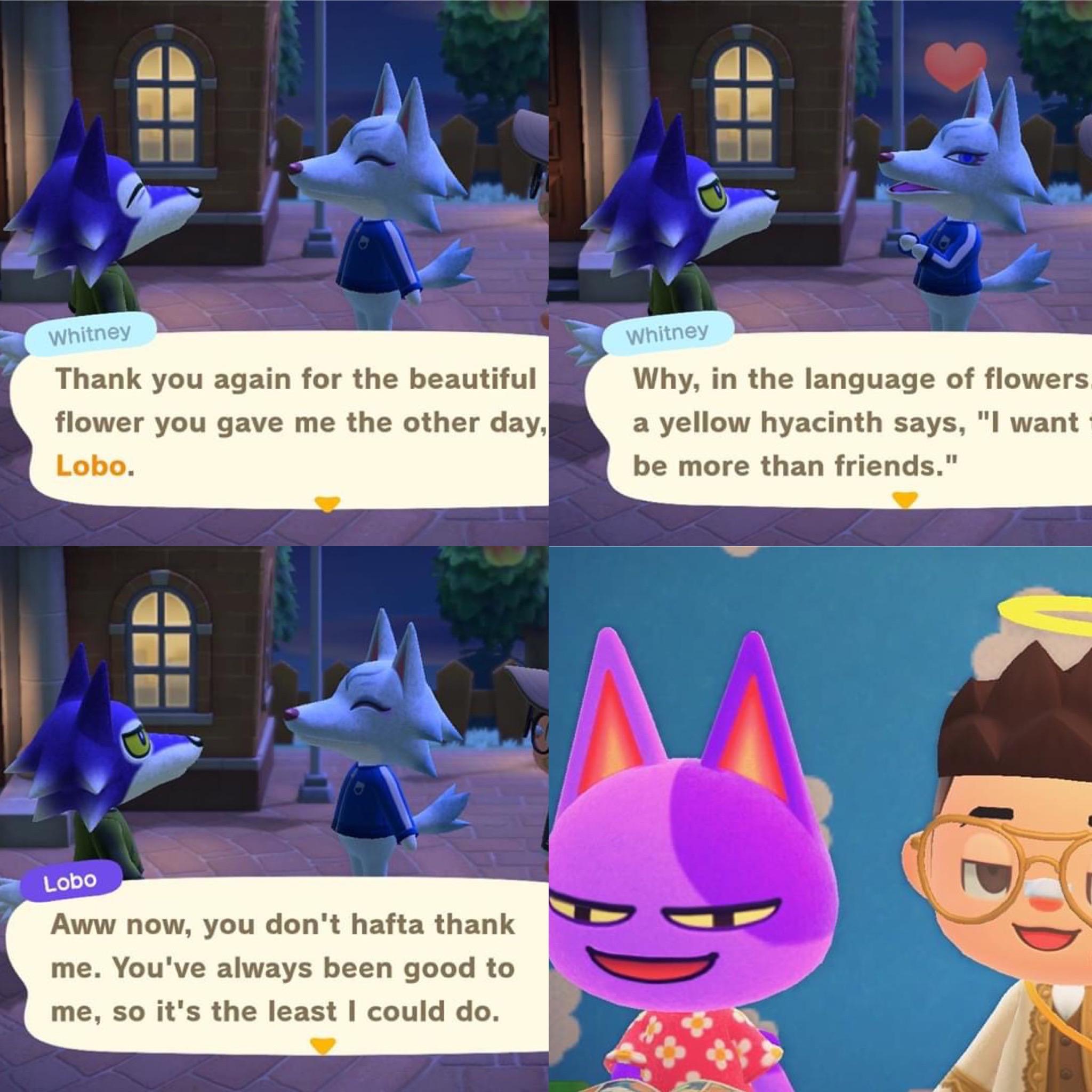 The Faces Bob And I Make When We Over Hear Lobo And Whitney Flirting With Each Other Animalcrossing