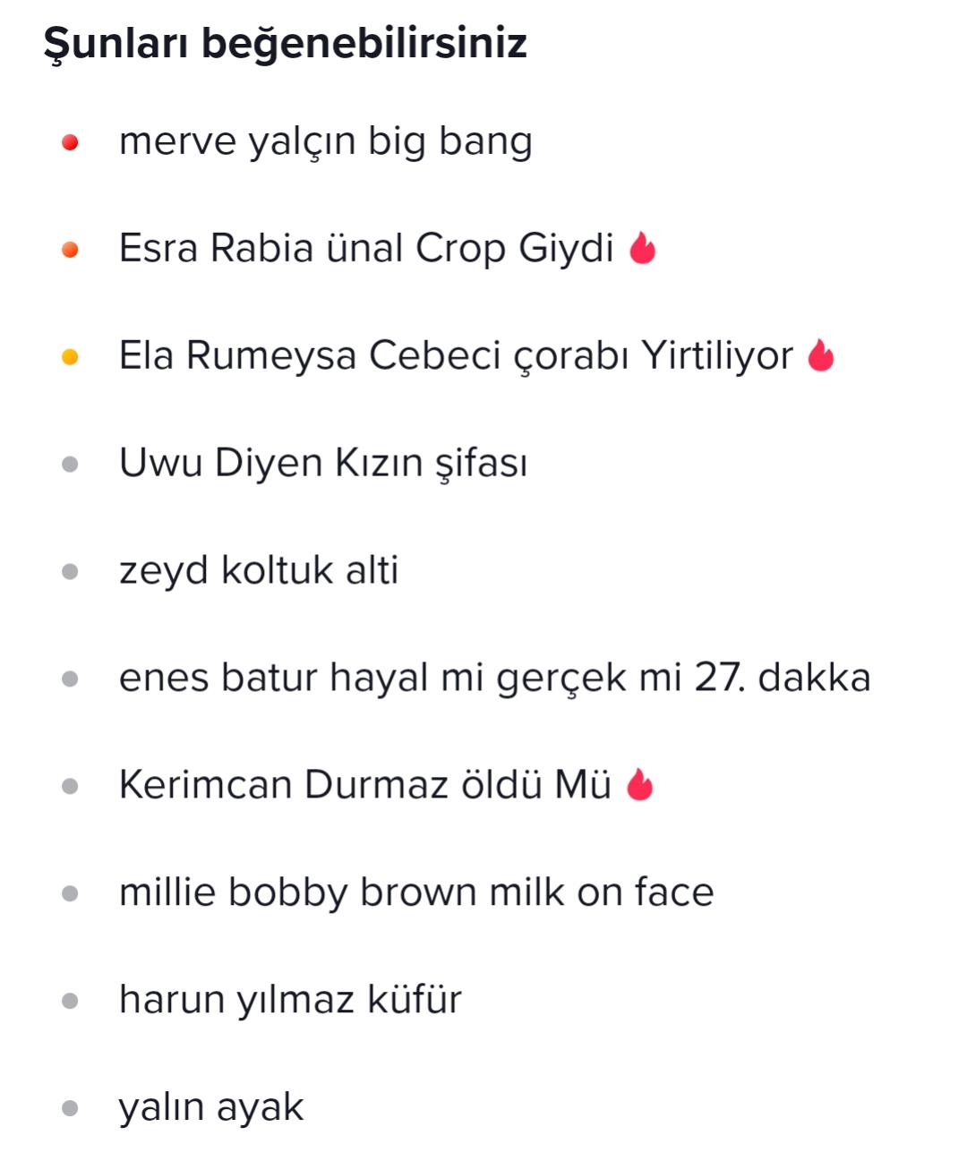 TikTok taki popüler aramalara bakın bu ne lan : rKGBTR