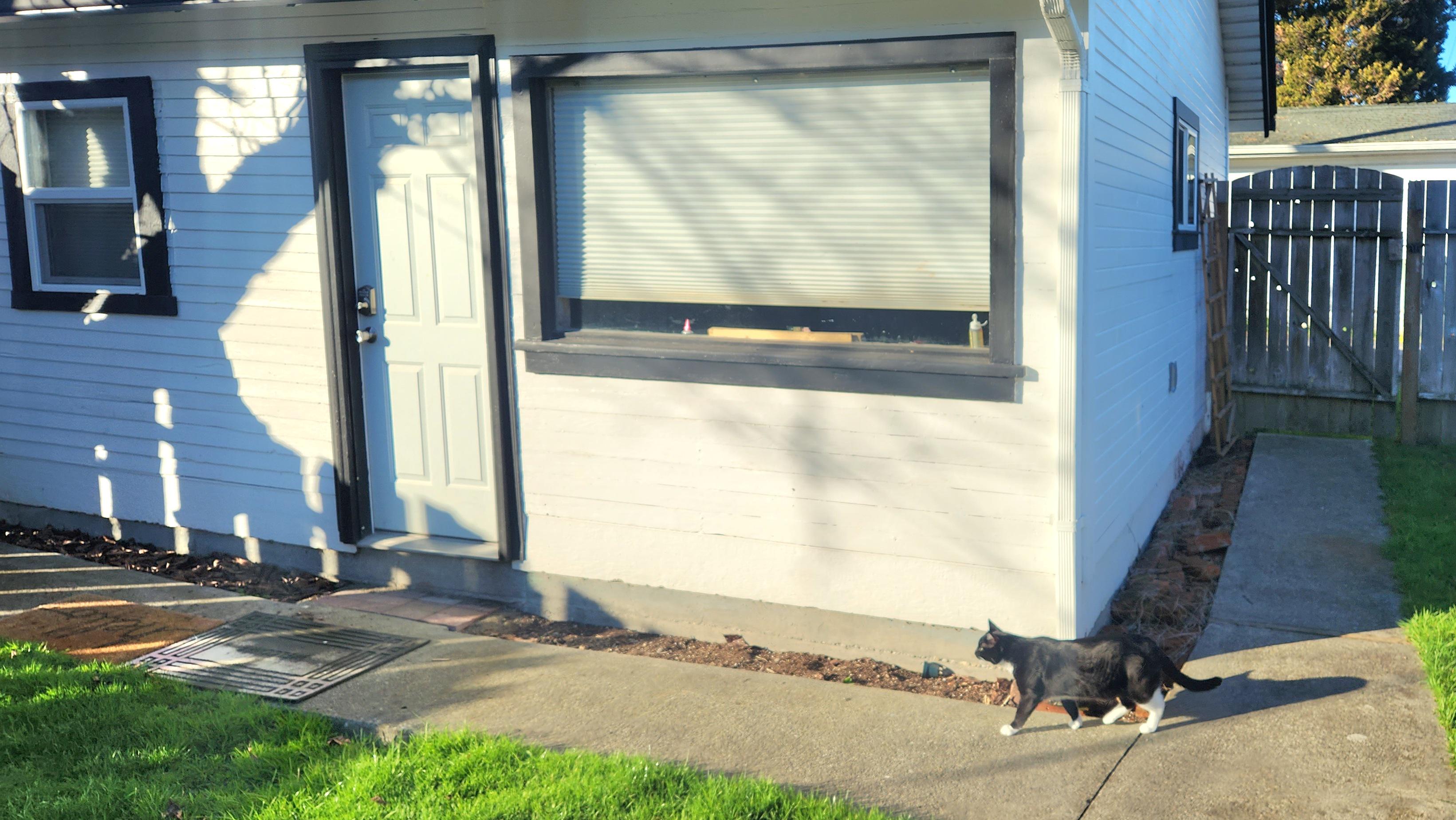 1 dirt perimeter around garage is begging for plants. Help?! : rgardening