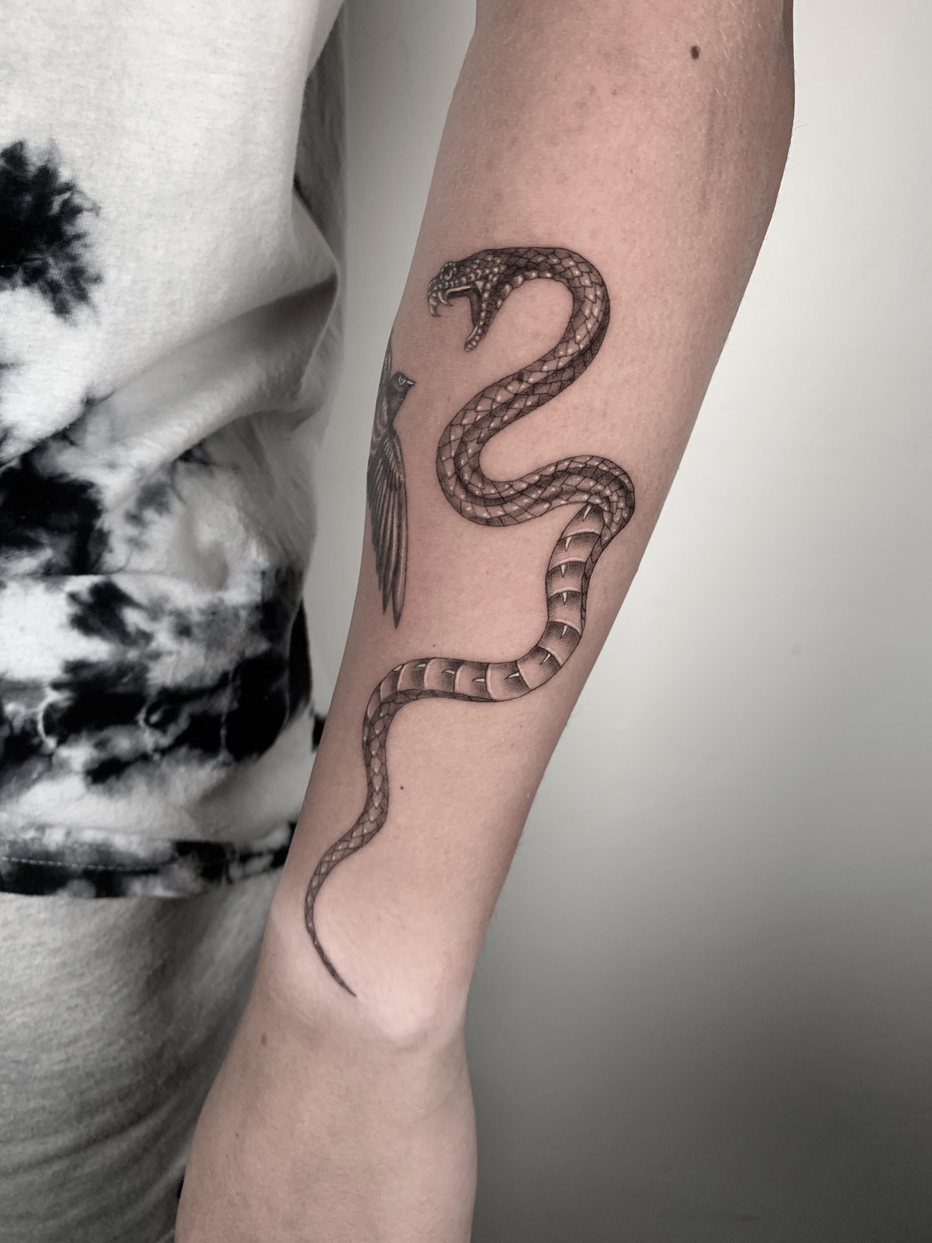 Some Snake Tattoos Done By Me : R/Snakes 4032_x_3024_jpg