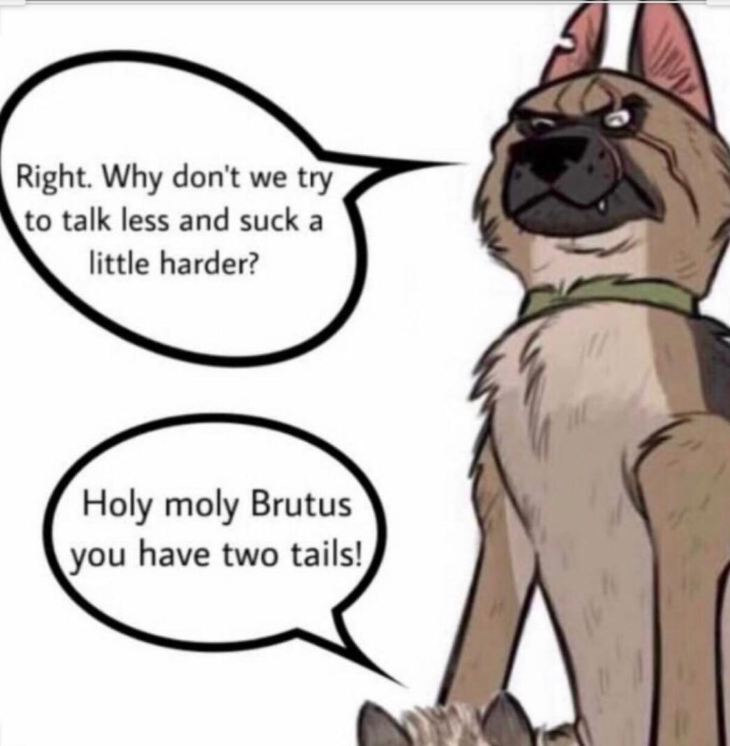 Pixie and brutus two tails