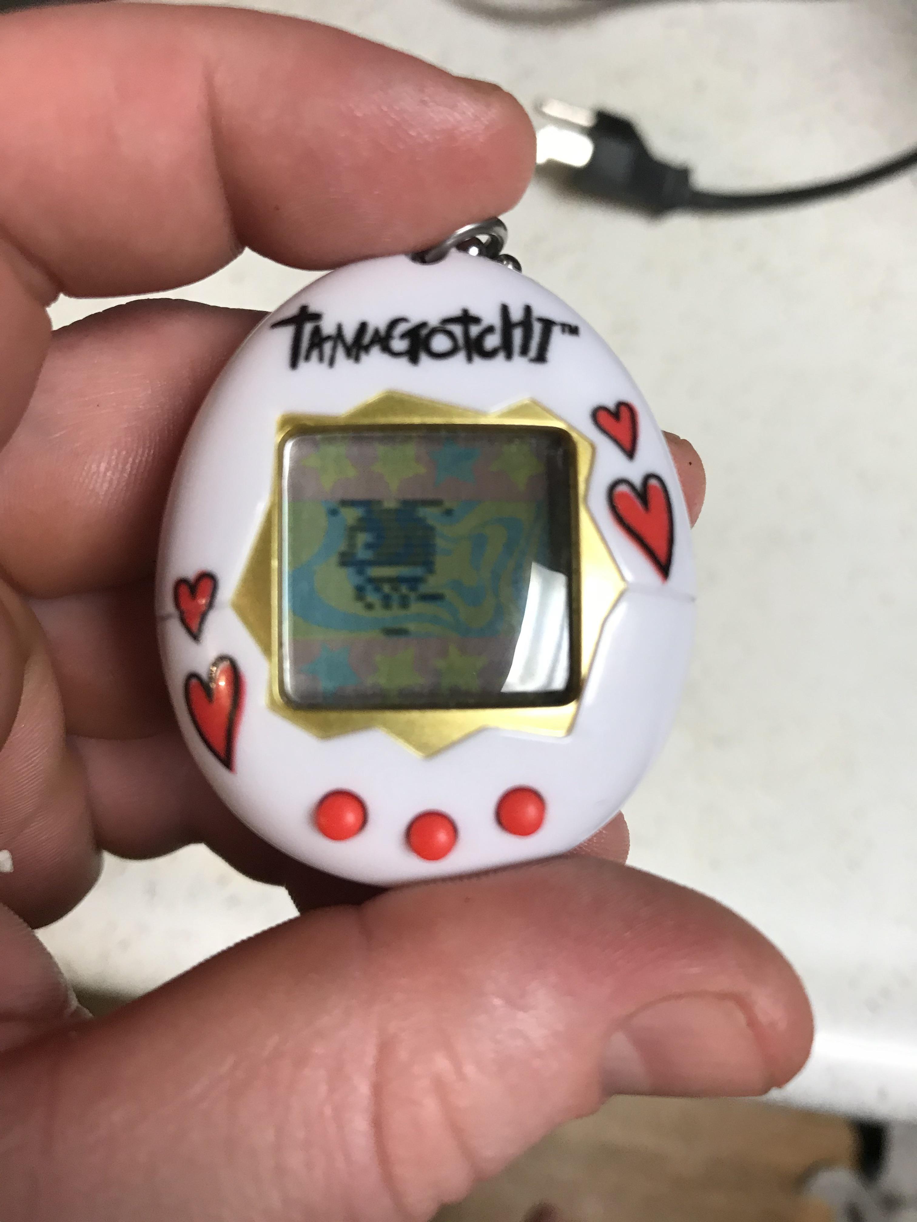 Zuccitchi tamagotchi