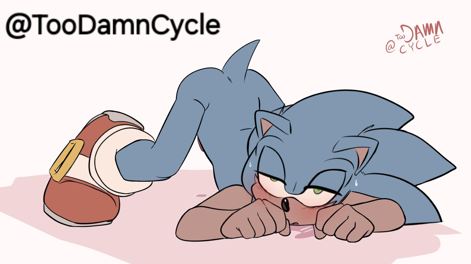 Sonic GAY Porn NSFW (@TooDamnCycle) : rSonicnsfwgay Sonadow mpreg