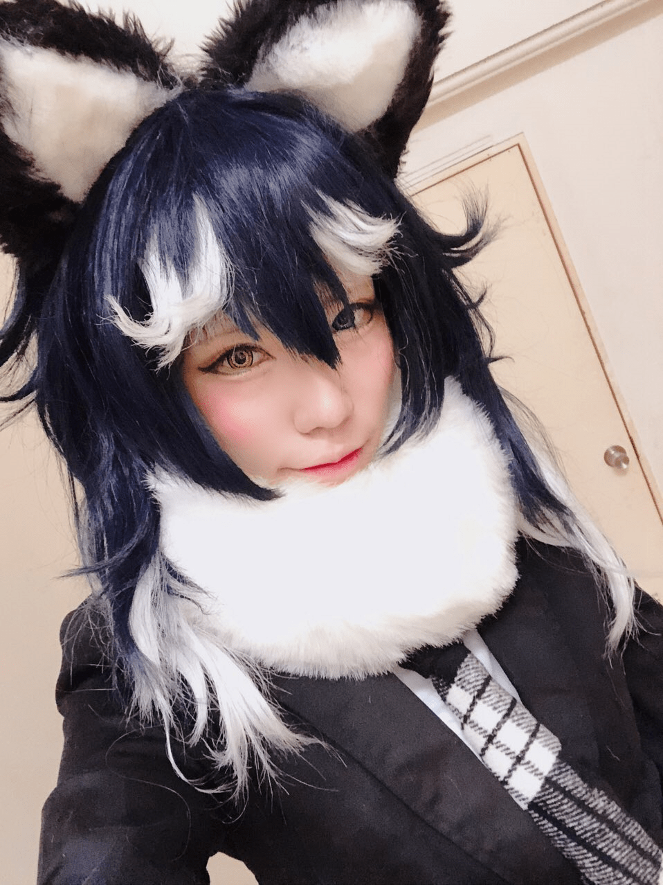 Kemono friends grey wolf cosplay