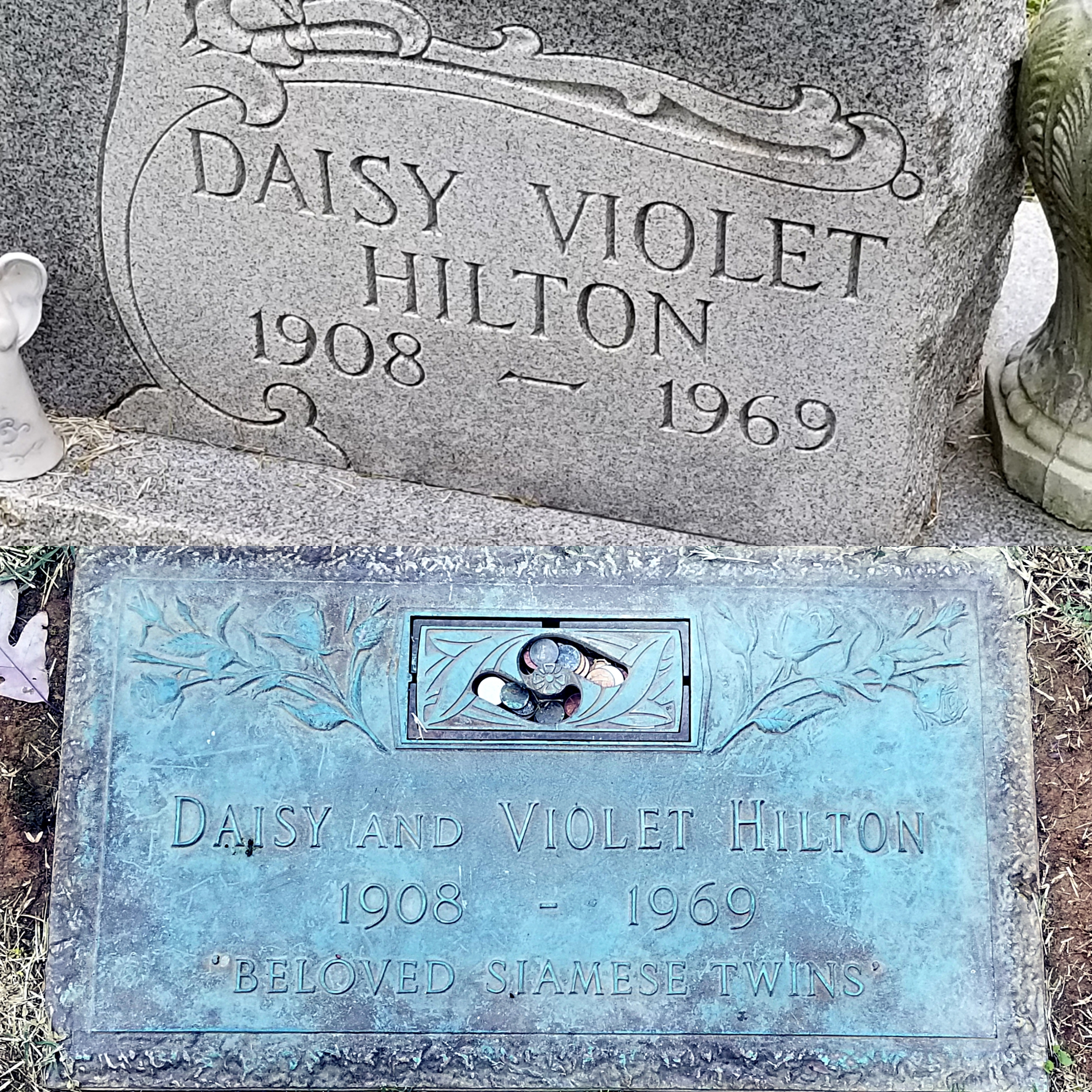 daisy violet hilton