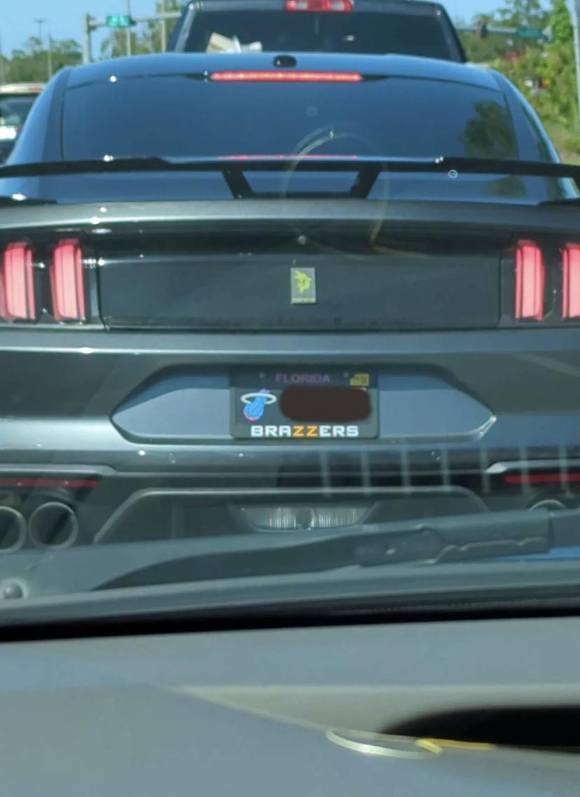 Alabama car tag cost