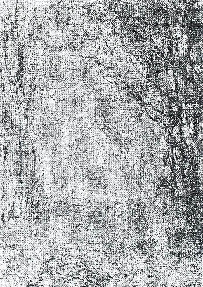 Sous Bois Automne By Claude Monet R Sizz