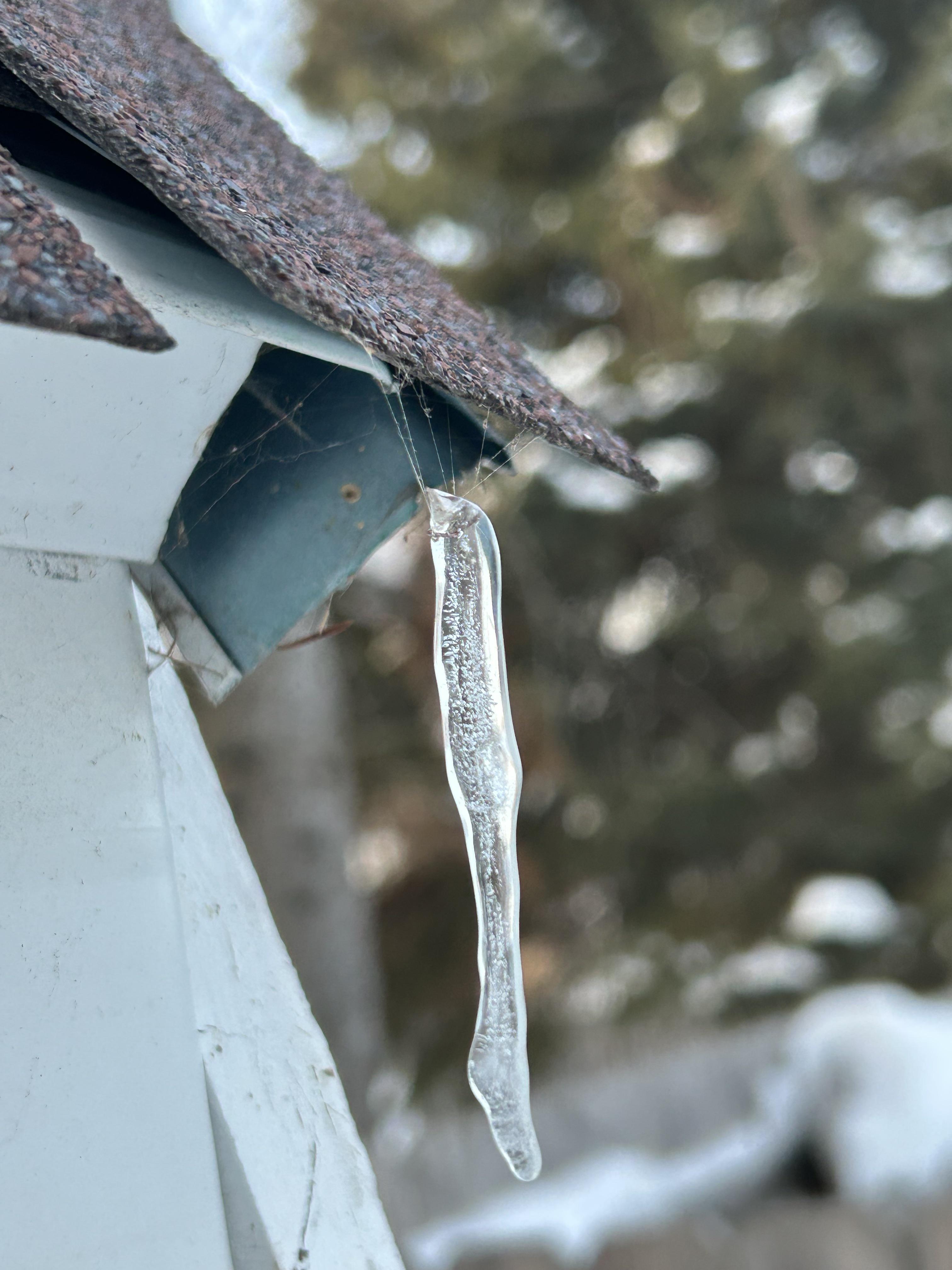 icicle drip