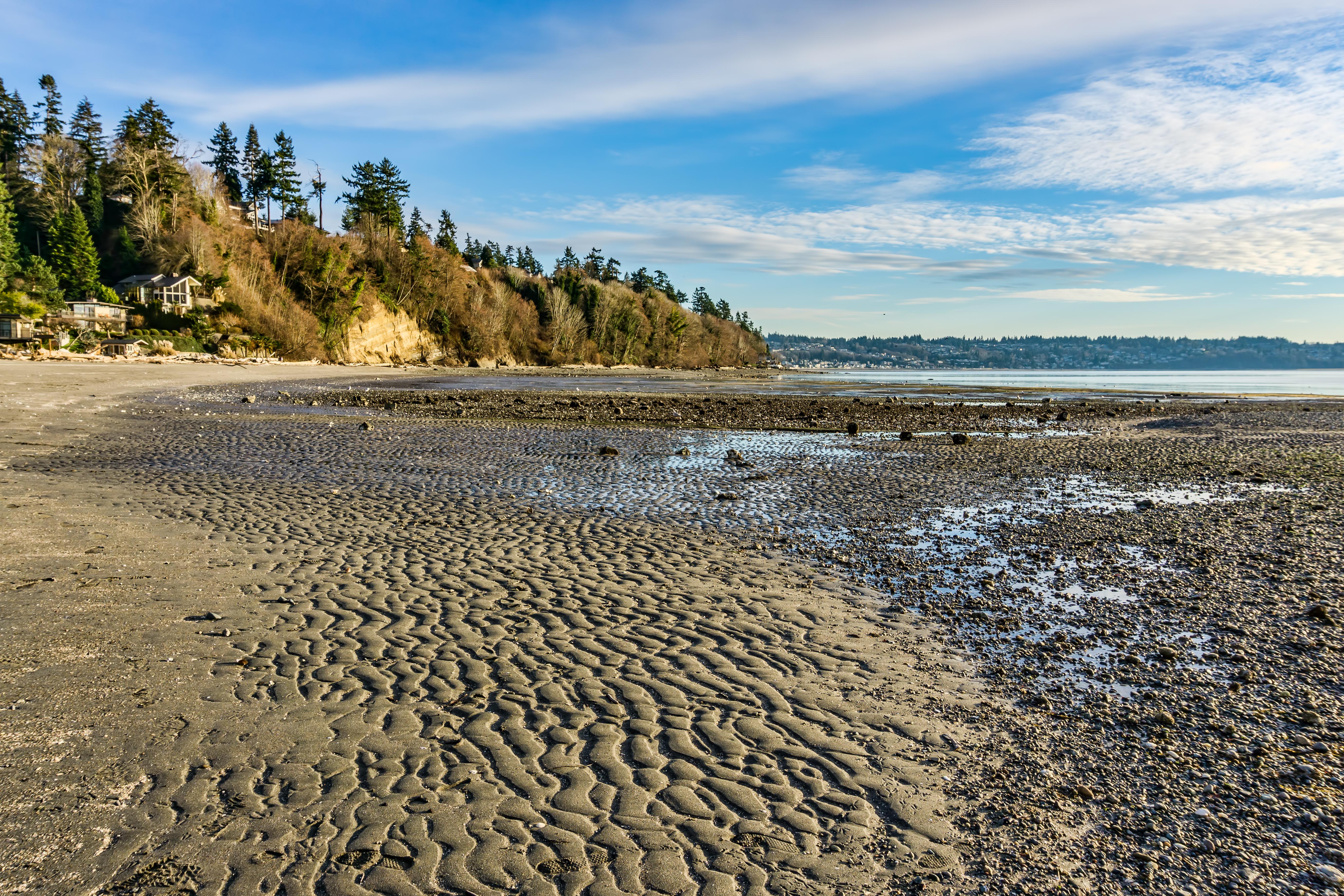 Low tide des moines wa